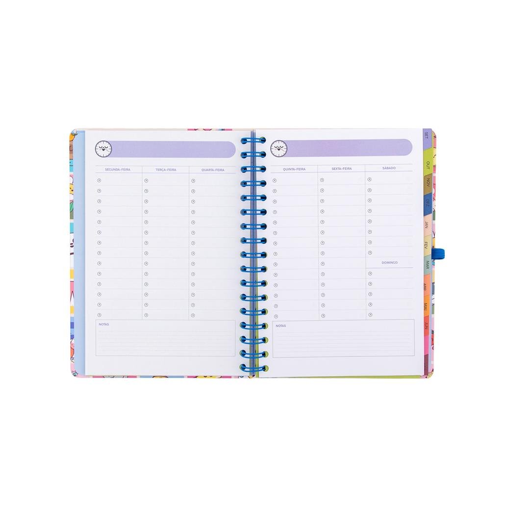 Agenda 26-27 Semanal - Manual para um ano brilhante - Mr. Wonderful - Papelaria Encantada