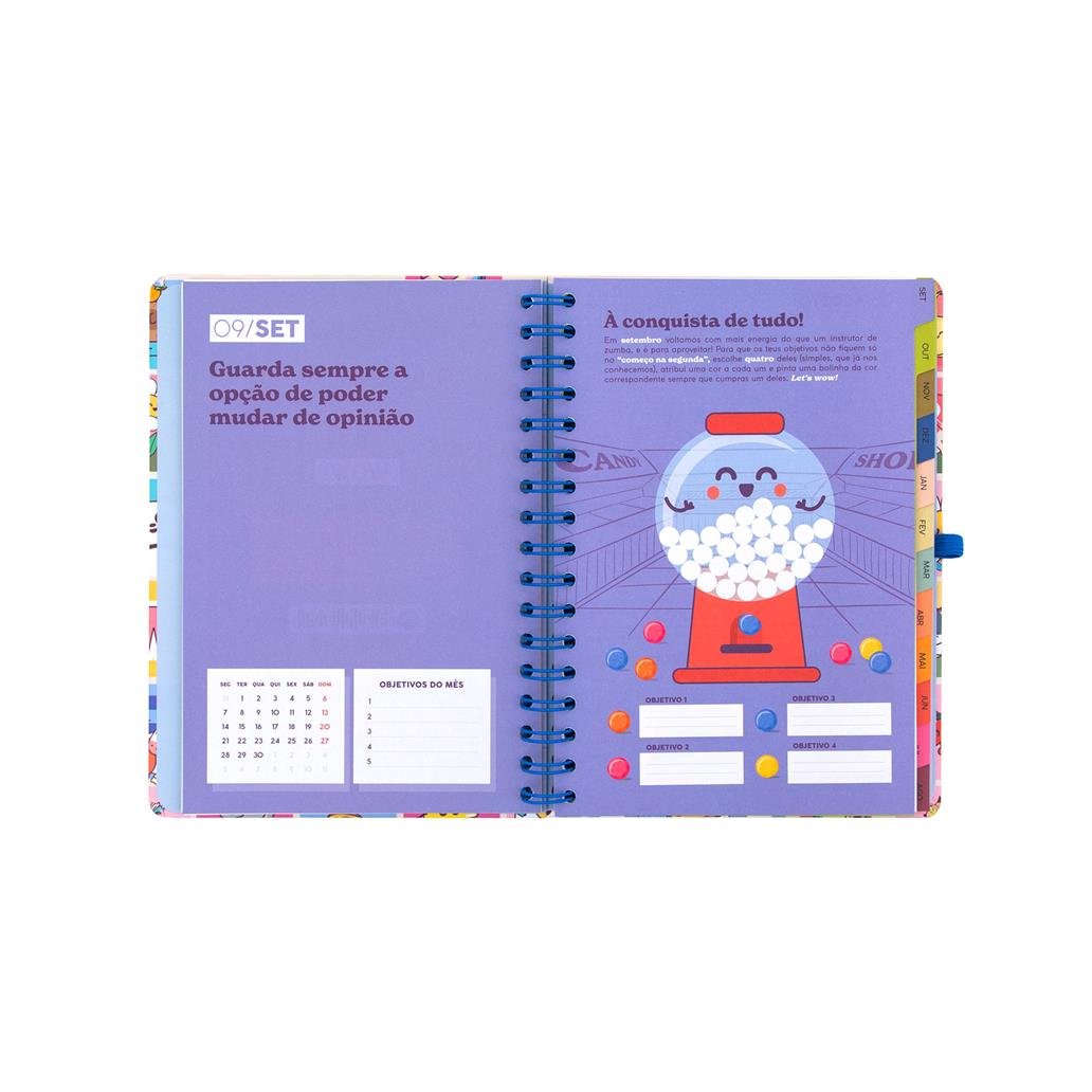 Agenda 26-27 Semanal - Manual para um ano brilhante - Mr. Wonderful - Papelaria Encantada
