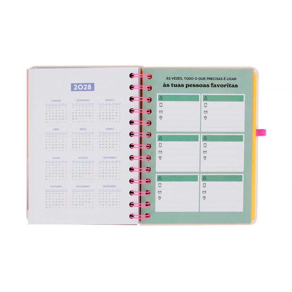 Agenda 26 - 27 Semanal Pequena + 3 Esferográficas apagáveis Bo - Bo - Ready Mr Wonderful - Papelaria Encantada