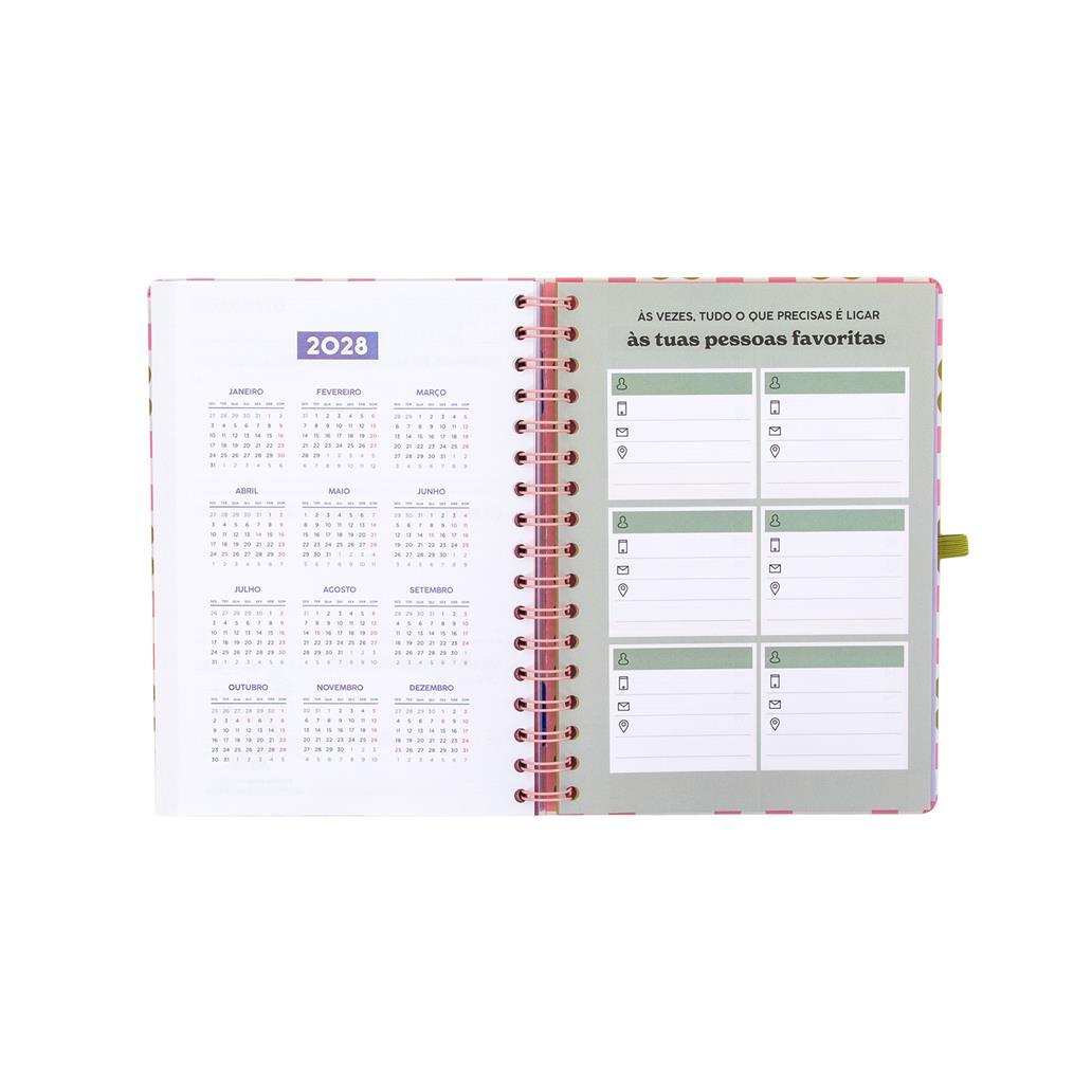 Agenda 26-27 Semanal - Vive hoje, planeia sempre - Mr. Wonderful - Papelaria Encantada