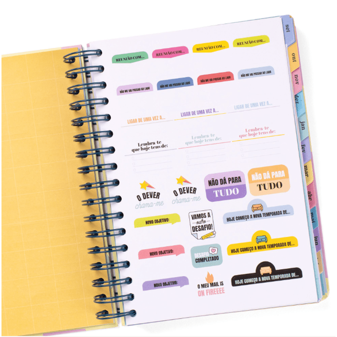 Agenda Wonder 2025-26 Diária - Grande dia á vista - Mr.Wonderful - Papelaria Encantada