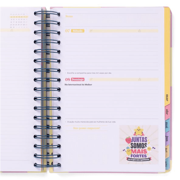 Agenda Wonder 2025-26 Diária - Grande dia á vista - Mr.Wonderful - Papelaria Encantada