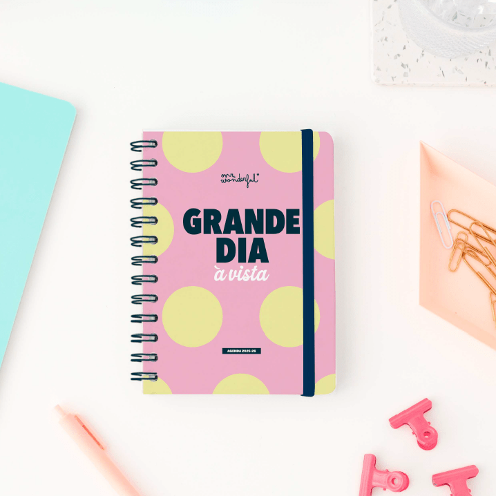 Agenda Wonder 2025-26 Diária Pequena - Grande dia à vista - Mr.Wonderful - Papelaria Encantada