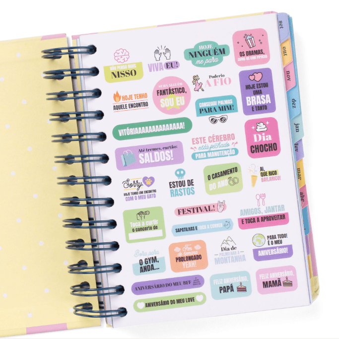 Agenda Wonder 2025-26 Diária Pequena - Grande dia à vista - Mr.Wonderful - Papelaria Encantada