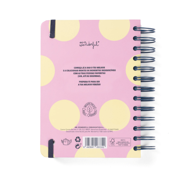 Agenda Wonder 2025-26 Diária Pequena - Grande dia à vista - Mr.Wonderful - Papelaria Encantada