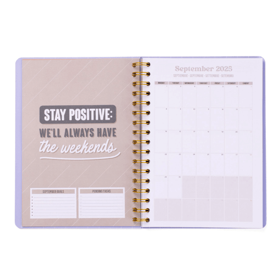 Agenda Wonder 2025-26 Semanal - Effort+ Action = Sucess - Mr.Wonderful - Papelaria Encantada