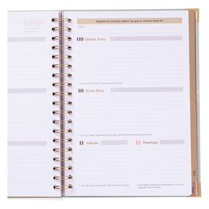 Agenda Wonder 2025-26 Semanal Grande - Vou deixar-me surpreender - Mr.Wonderful - Papelaria Encantada