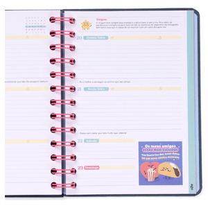 Agenda Wonder 2025-26 Semanal Pequena - Superplanos e boas vibrações - Mr.Wonderful - Papelaria Encantada