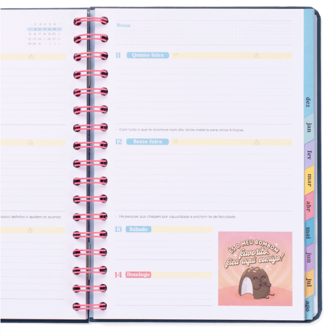 Agenda Wonder 2025-26 Semanal - Superplanos, Emoções e Boas Vibrações - Mr.Wonderful - Papelaria Encantada