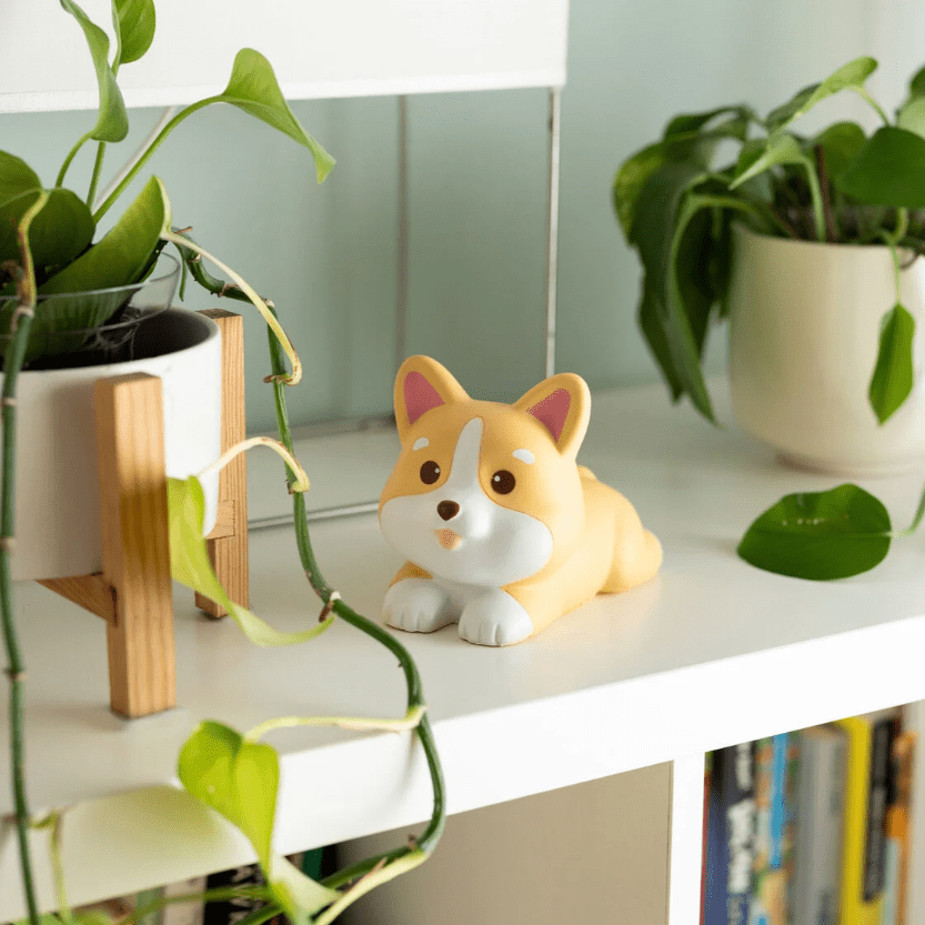 Boneco anti - stress legami Corgi - Papelaria Encantada