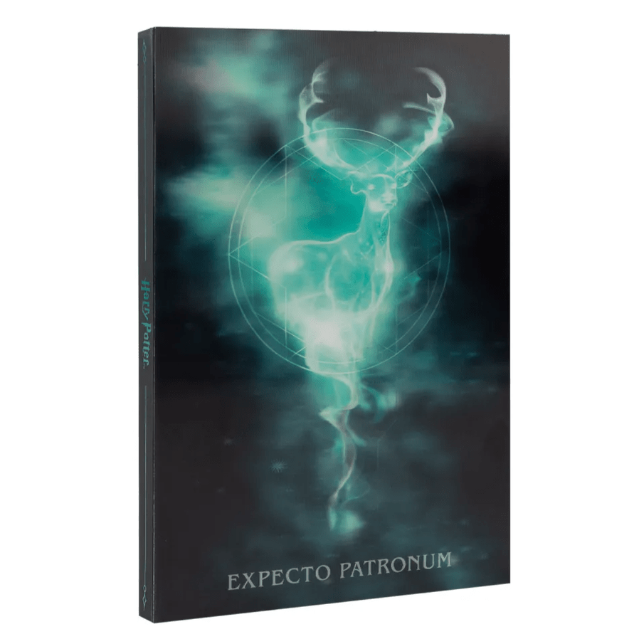 Caderno A5 Lenticular Harry Potter - Papelaria Encantada