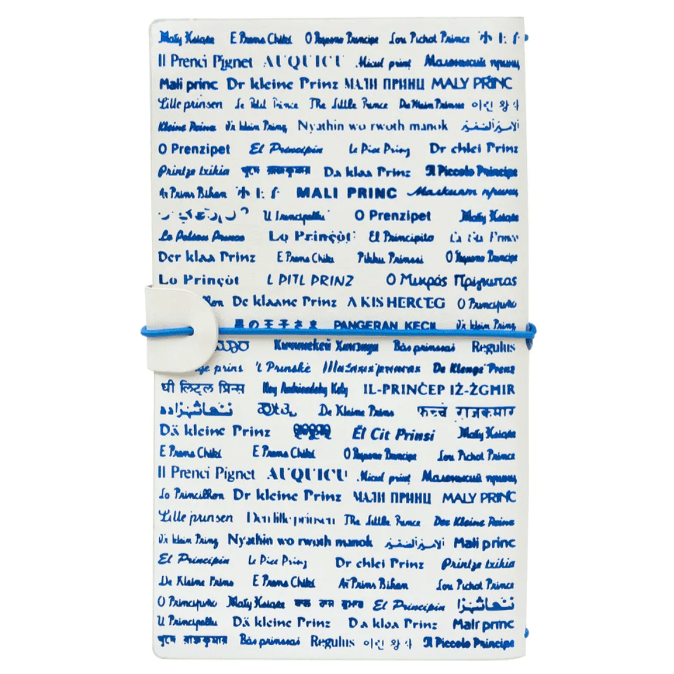 Caderno de viagens O principezinho adventure - Papelaria Encantada