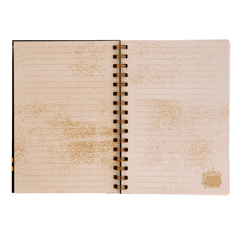 Caderno Harry Potter Gold C/ elástico A5 - Papelaria Encantada