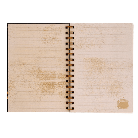 Caderno Harry Potter Gold C/ elástico A5 - Papelaria Encantada