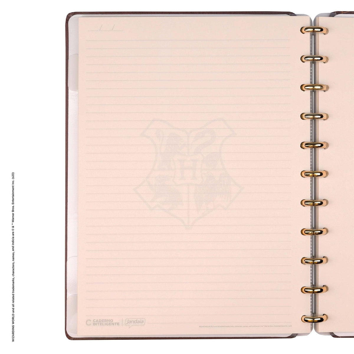 Caderno Inteligente by Harry Potter - Sorting Hat - Papelaria Encantada