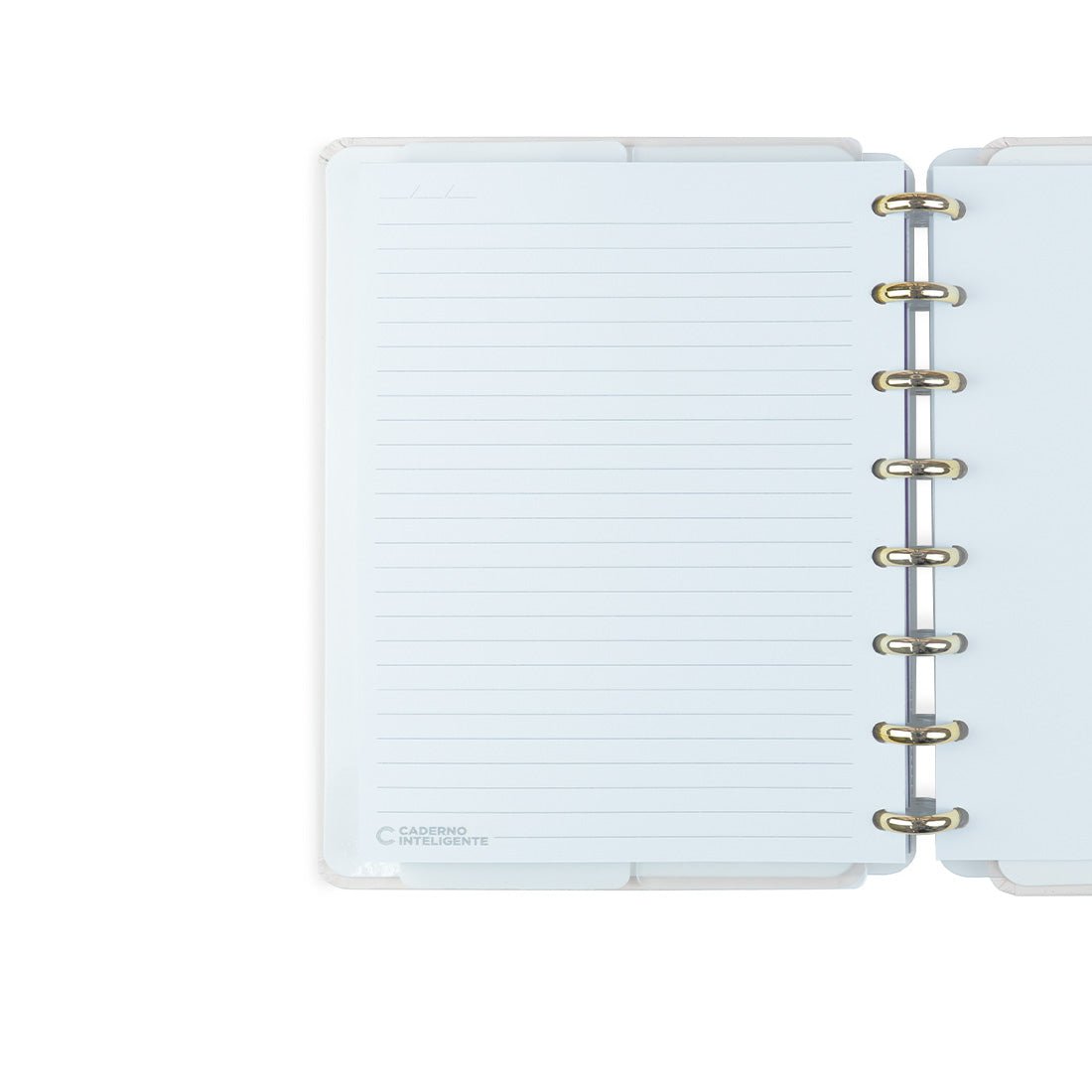 Caderno Inteligente by Isabela Akkari - Rose Key A5 - Papelaria Encantada