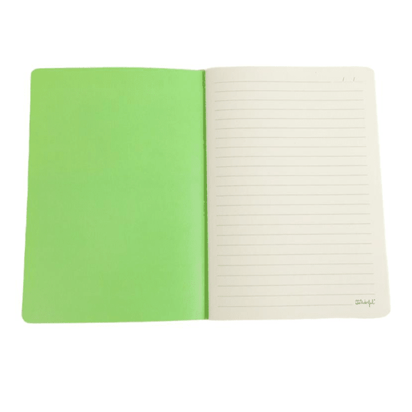 Caderno Mr.wonderful Pautado A5 Riscas Verde e Azul - Papelaria Encantada
