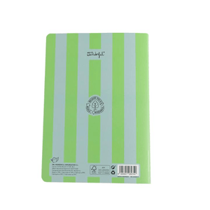 Caderno Mr.wonderful Pautado A5 Riscas Verde e Azul - Papelaria Encantada