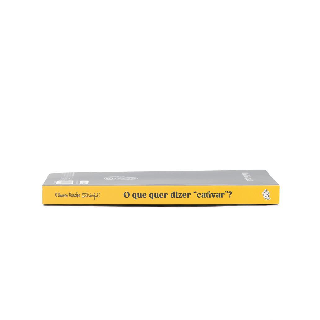 Caderno O Principezinho - O que significa Domesticar? Mr. Wonderful - Papelaria Encantada