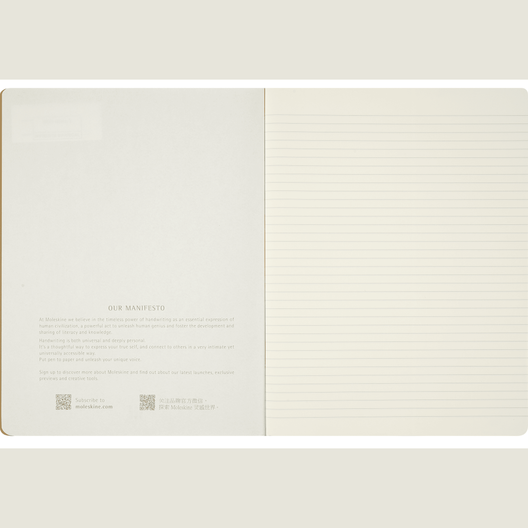Cadernos Cahier Alice no País das Maravilhas – Conjunto de 3, XL, Pautado - Papelaria Encantada