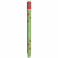 Caneta apagável Melancia Eberhard Faber - Papelaria Encantada