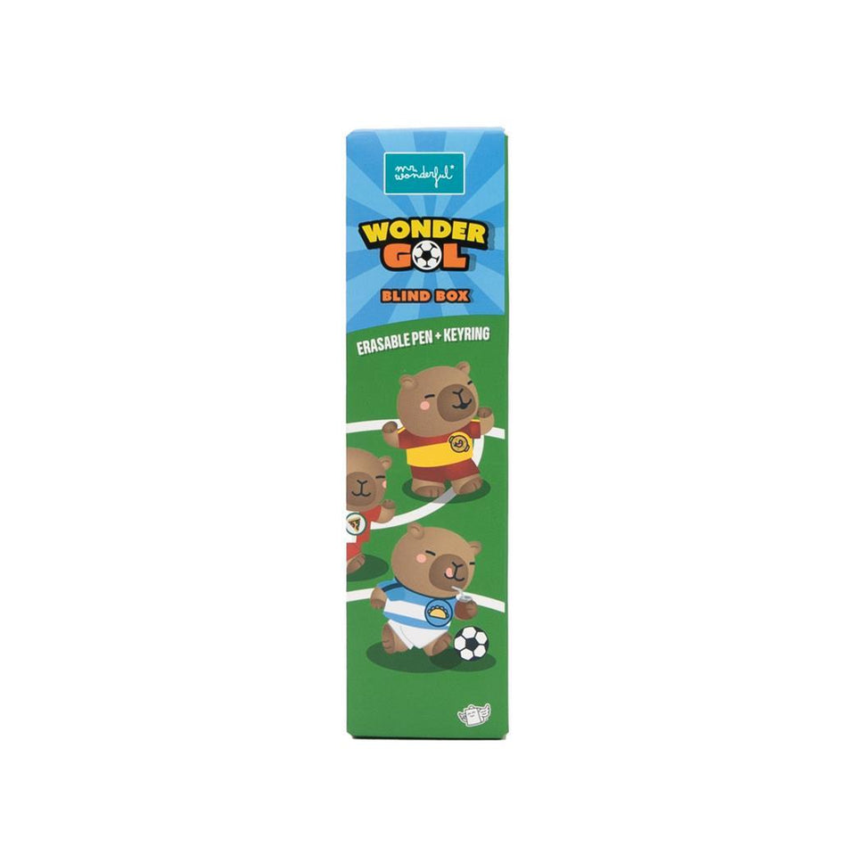 Caneta apagável supresa - Blind box - WonderGol Mr.wonderful - Papelaria Encantada