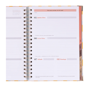 Conjunto Agenda 25-26 + Caneta - No Stress Mr. Wonderful - Papelaria Encantada