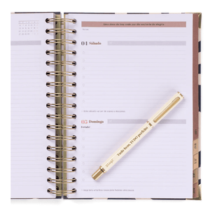 Conjunto Agenda 25-26 + Caneta - Tudo Perfeito - Papelaria Encantada
