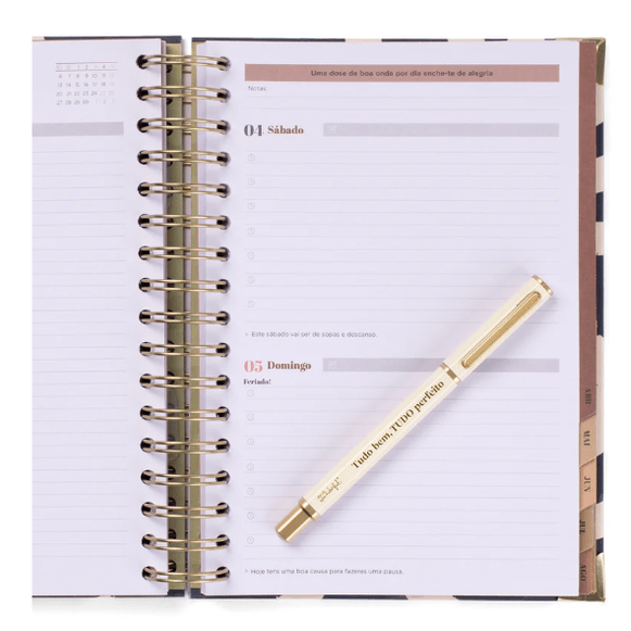 Conjunto Agenda 25-26 + Caneta - Tudo Perfeito - Papelaria Encantada