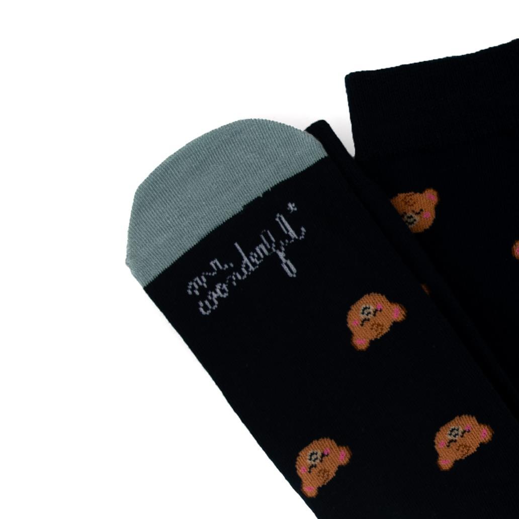 Conjunto Meias + Porta - chaves Urso - You are the beary best - Mr. Wonderful - Papelaria Encantada