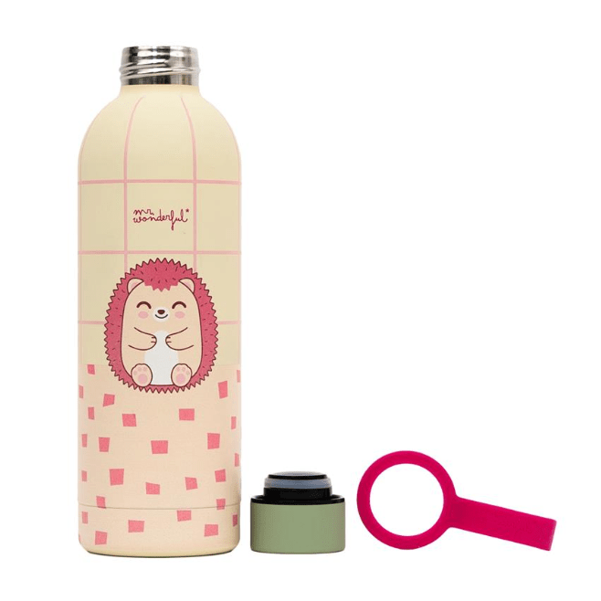 Garrafa Térmica 500ml - Ouriço Mr wonderful - Papelaria Encantada