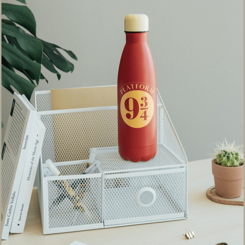 Garrafa térmica Harry Potter 500ML Plataforma 9 3/4 - Papelaria Encantada