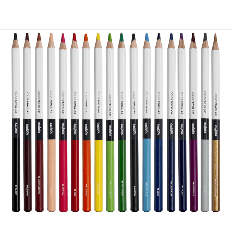 Lápis de Cor Carioca Plus 4.0 – Caixa com 24 unidades - Papelaria Encantada