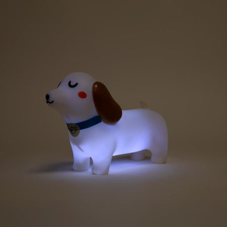 Luz de presença mágica para sonhos bonitos - Cão Salsicha - Mr. Wonderful - Papelaria Encantada