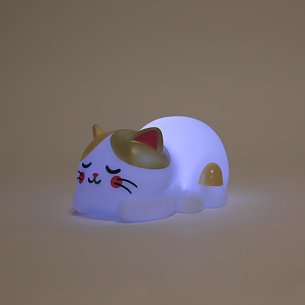 Luz de presença mágica para sonhos bonitos - Gato - Mr. Wonderful - Papelaria Encantada