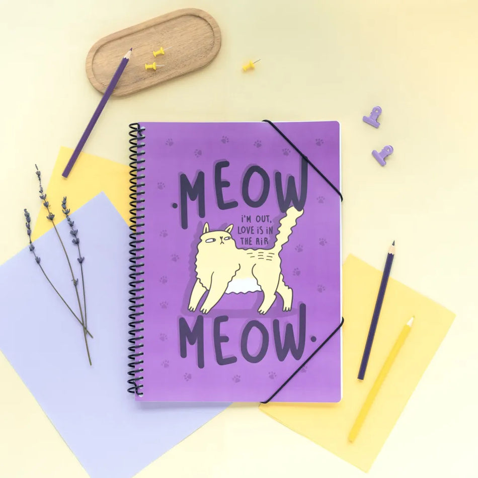 Pasta de Micas Meow Meow Weird Cats
