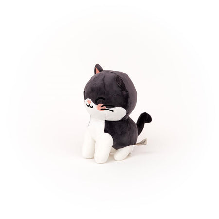 Peluche - Gato - Mr. Wonderful - Papelaria Encantada