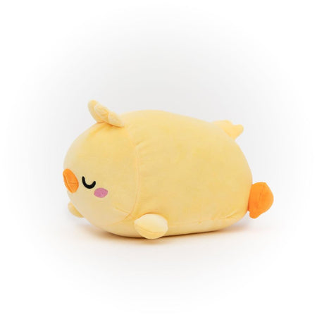 Peluche - Pintainho Lazy - Mr Wonderful - Papelaria Encantada