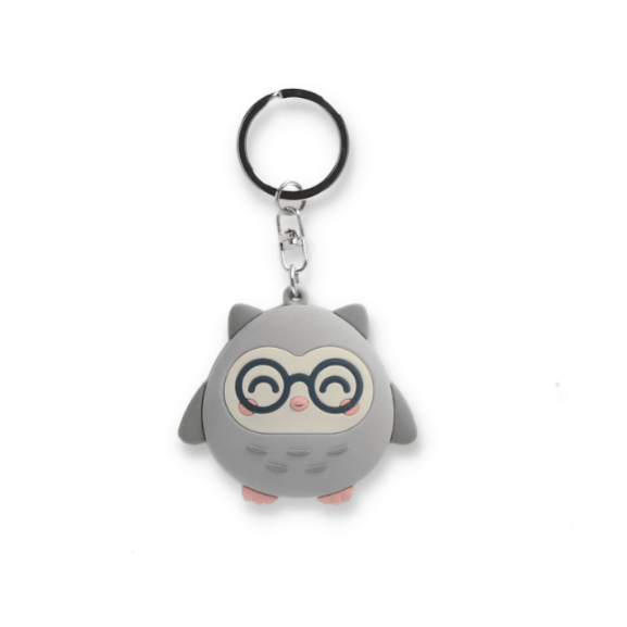 Porta - chaves Coruja Mr. Wonderful - Papelaria Encantada