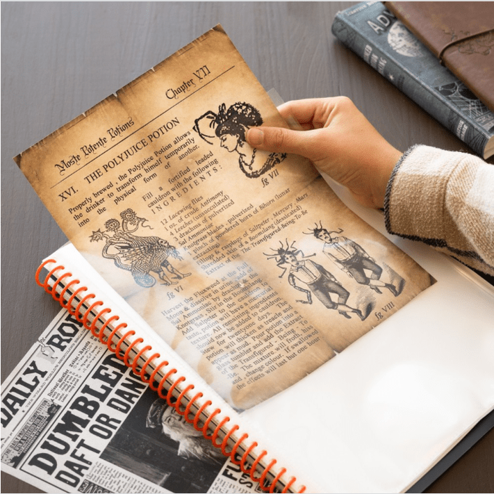 Portfolio A4 30 bolsas Harry Potter - Papelaria Encantada