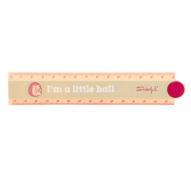 Régua Articulada 30cm Ouriço - Mr.wonderful - Papelaria Encantada