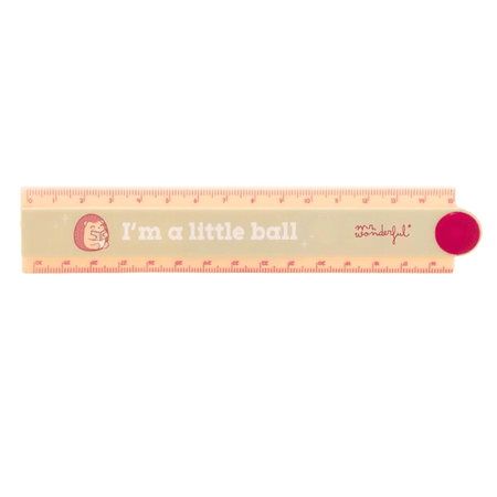 Régua Articulada 30cm Ouriço - Mr.wonderful - Papelaria Encantada
