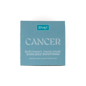 Vela perfumada - Caranguejo - Mr. Wonderful - Papelaria Encantada